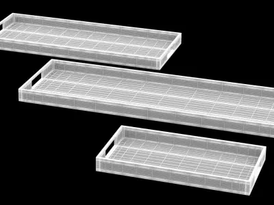 Tray 06 Free 3D model