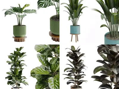 Single pot plants collection