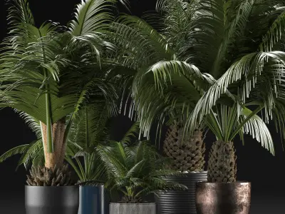 Plants Collection 16 3D model