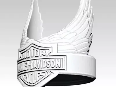 Biker Ring 3D print model