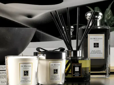 Decorative Set with Plants 3D model