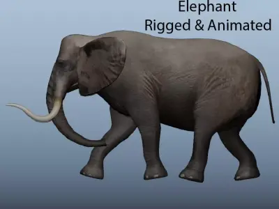 African Elephant Animated 3D model Low-poly 3D model