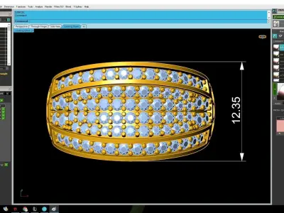 Luxury Full Pave Diamond Band Ring for Men and Women 2890 3D print model