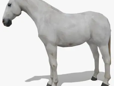 LowPoly Horses Collection volume 1 Low-poly 3D model