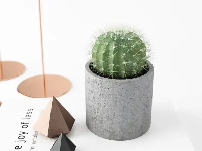 Decor Set 01 3D model