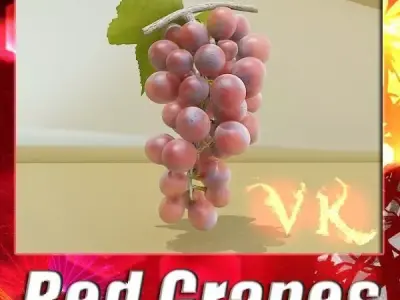 Red Grapes High Detail 3D model