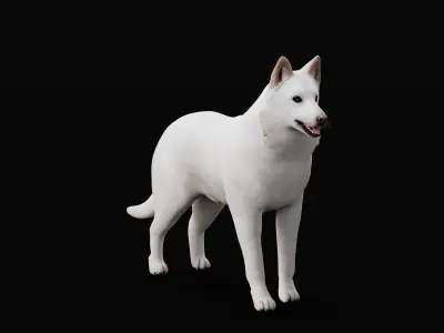White Swiss Shepherd Dog Low-poly 3D model