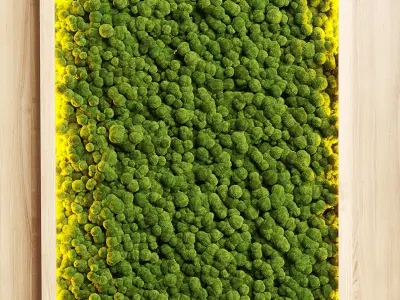 wall garden and vertical moss in wooden frame 22 3D model