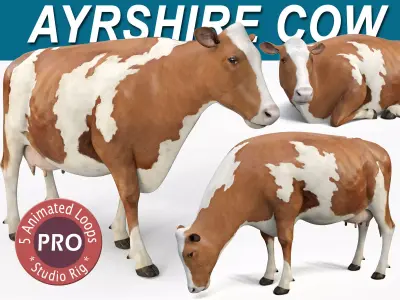Cow PRO - Ayrshire  3D model