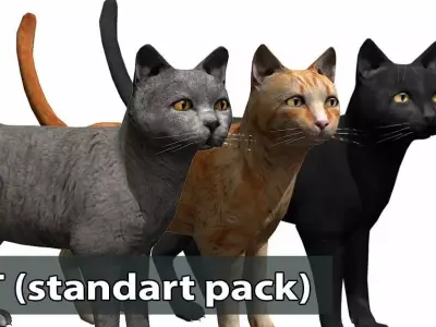 Cat pack 1 Low-poly 3D model