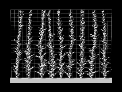 Vertical plant partition 3D model