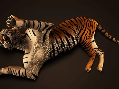 Tiger rig model with muscle simulation and xgen grooming Low-poly 3D model