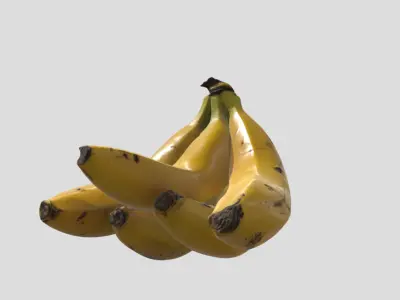 Realistic 3D Banana Model Game  Animation Ready Low-poly 3D model