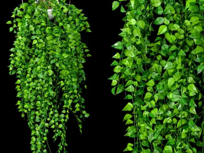 Artificial Sweeping Plant Set 3D model