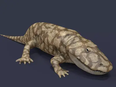 Eryops megacephalus 3D model