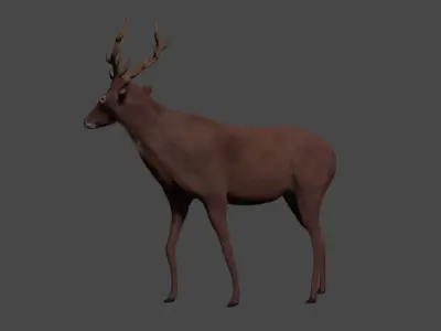 Deer - rigged - painted 3D model