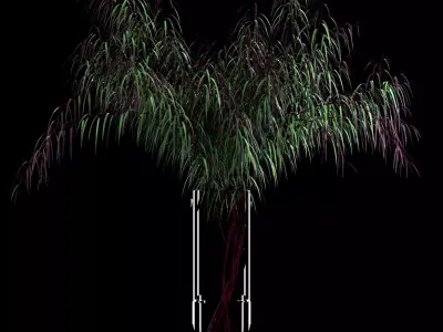 Agonis plant in glass vase 3D model