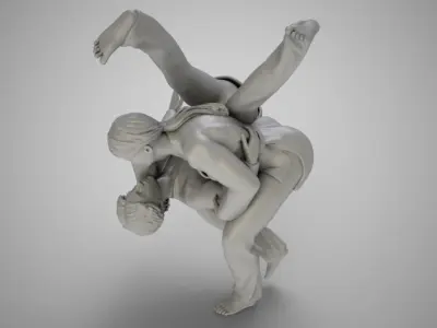 Judo Training 3D print model