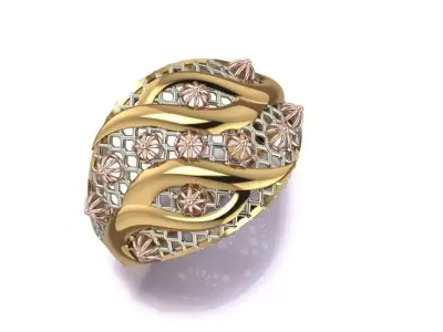 ring no 14 Free 3D print model