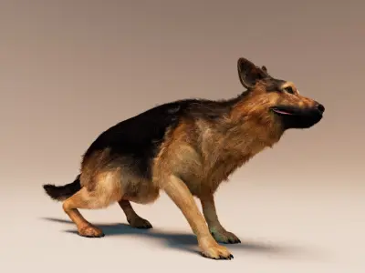 German Shepherd   Dynamics   Rigged   Animated 3D model