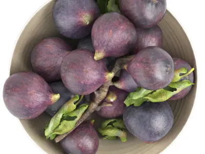 bowl of black figs fruit 3D model