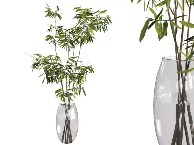 Ficus branches bouquet set 01 3D model