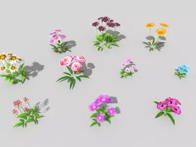 10 low poly flowers pack 2 Low-poly 3D model