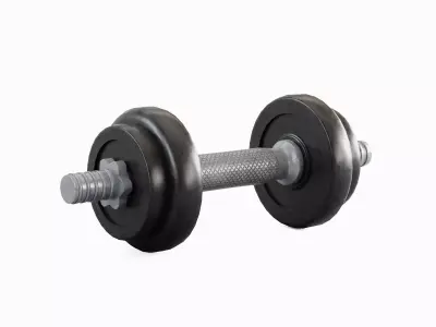 Metal Dumbbell Set Low-poly 3D model
