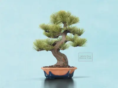 Pine Bonsai in Pot Low-poly 3D model