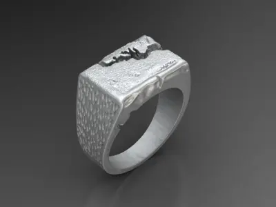Fraction Ring 3D print model