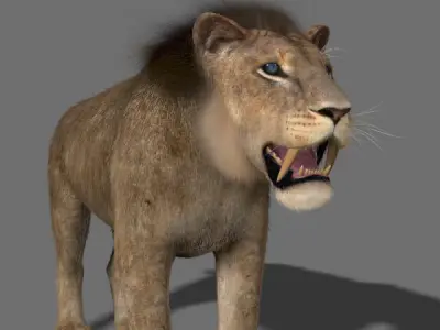Sabretooth - 3d model lion 3D model