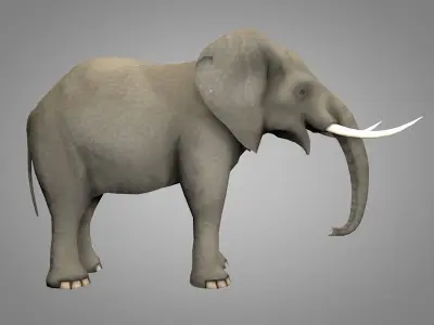 Elephant with tusks Low-poly 3D model