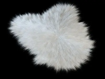 Sheepskin rug 3D model