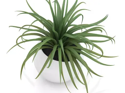 Plant in Sphere Pot 3D model