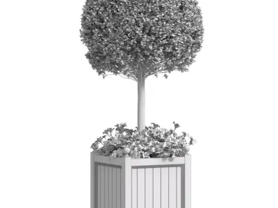 Decorative Front  Entrance Porch  Tree in a flower bed 3D model