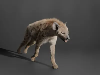 Spotted Hyena Animated 3D model