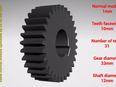 Cylindrical gear - paired - z31 m1 D33 d12 3D print model