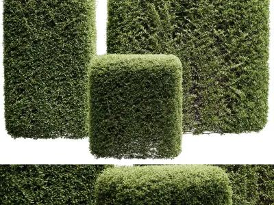 Hedge Cubic and Topiary Bush - outdoor plant set 233  3D model