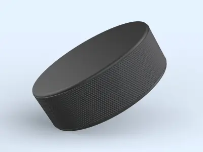 Hockey Puck 3D model