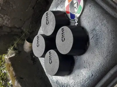 Center Caps Bridgestone Citta Wheels 3D print model