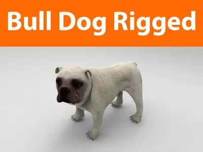 Bull Dog rigged Low-poly 3D model