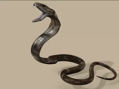 COBRA SNAKE RIGGED ANIMATED 7 Low-poly 3D model