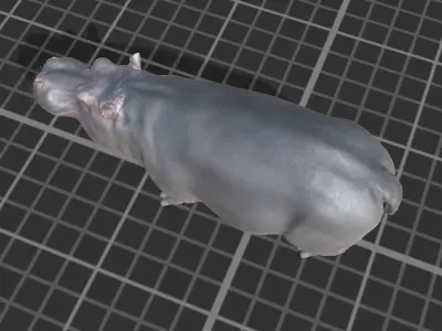 Hippopotamus Low-poly 3D model get