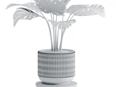 Swiss chesse plant 3D model