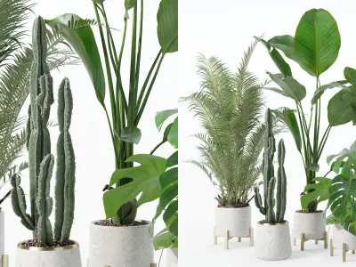 Plants collection 122 3D model