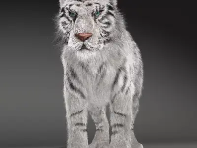 White Tiger v2 Low-poly 3D model