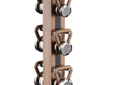 Lova Vertical Kettlebell Set Full 3D model