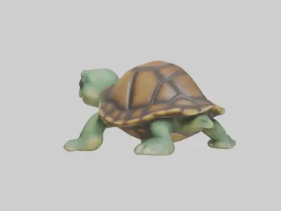 Baby Turtle Model 1 Low-poly 3D model