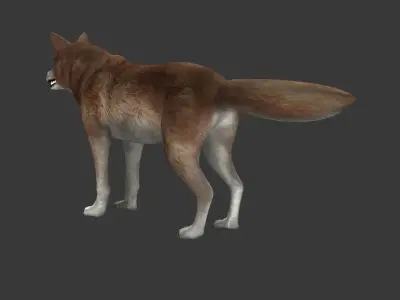 Brown Wolf Low-poly 3D model