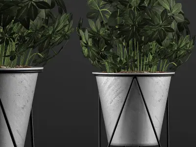 Plants Collection 92 3D model